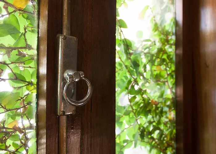 Varzim * بوفوُ جي فارزيم